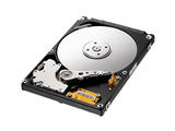 Samsung  750GB/5400 rpm