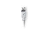Apple Thin FireWire