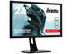 Монитори IIYAMA Red Eagle GB2488HSU-B2