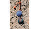 Колони Ultimate Ears ROLL 2 Volcano, в синьо
