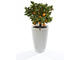 Smart Home Parrot POT - бяло