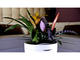 Smart Home Parrot POT - бяло