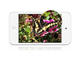 Таблети Apple iPod Touch 32GB, черен цвят