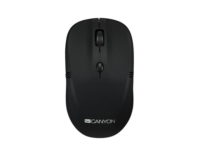 Мишки Canyon CNE-CMSW03B