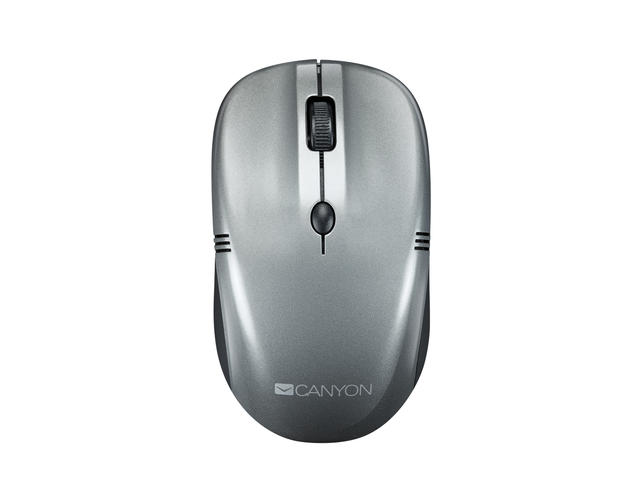 Мишки Canyon CNE-CMSW03DG
