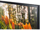 Монитори Samsung T32H390