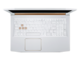 Лаптопи Acer Predator Helios 300 Special Edition