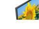Телевизори Sony KD-55XF8096