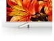 Телевизори Sony KD-65XF8577