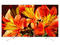Телевизори Sony KD-65XF8577