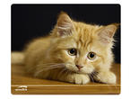 Падове Speedlink SILK, Cat