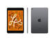 Таблети Apple iPad mini 5 Wi-Fi 64GB - Space Grey