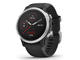 Смарт часовници Garmin Fenix 6S Silver with Black Band