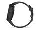Смарт часовници Garmin Fenix 6S Pro Black with Black Band