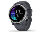 Смарт часовници Garmin Venu Silver Stainless Steel/Granite Blue