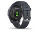 Смарт часовници Garmin Venu Silver Stainless Steel/Granite Blue