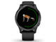 Смарт часовници Garmin Venu Stainless Steel/Back