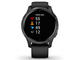 Смарт часовници Garmin Venu Stainless Steel/Back