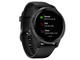 Смарт часовници Garmin Venu Stainless Steel/Back