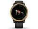 Смарт часовници Garmin Venu Gold Stainless Steel/Back
