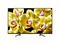 Телевизори Sony KD-43XG8096