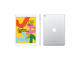 Таблети Apple iPad 10.2 Wi-Fi 32GB Silver