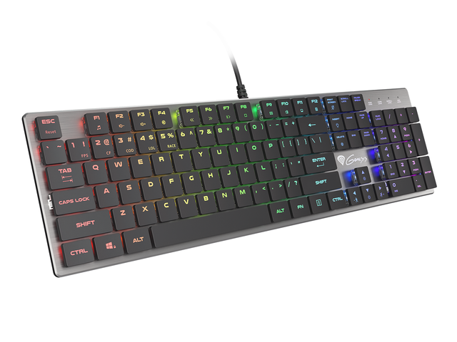 Клавиатури Genesis THOR 420 RGB Slim Blue Switch US Layout