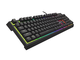 Клавиатури Genesis THOR 210 RGB US Layout