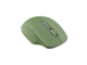 Мишки Canyon MW-21 CNS-CMSW21SM