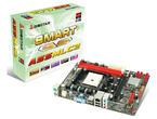 Дънни платки Biostar A55MLC2