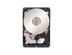 Твърди дискове 3TB 7200 rpm Seagate Constellation ES.2