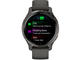 Смарт часовници Garmin Venu 2S Slate/Graphite