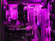 G:RIGS G:RIGS > Pavel Kolev & Icaka - Igrachi (AMD)