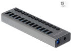 USB Хъб Delock външен SuperSpeed USB хъб с 13 порта + превключвател