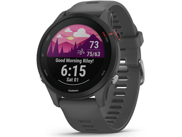 Смарт часовници Garmin Forerunner® 255 Slate Gray