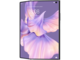 Смартфони Huawei Mate Xs 2, White