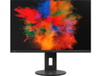 Монитори Fujitsu B2410 WS