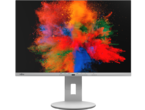 Монитори Fujitsu B2410 WE 
