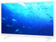 Телевизори Philips 24PHS5537