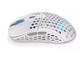 Мишки Endorfy LIX Plus Onyx White Wireless