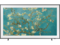 Телевизори Samsung 50LS03BG