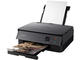 Принтери Canon PIXMA TS5350a