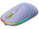 Мишки Canyon MW-22 CNS-CMSW22, Mountain lavender