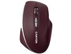 Мишки Canyon MW-21 CNS-CMSW21BR