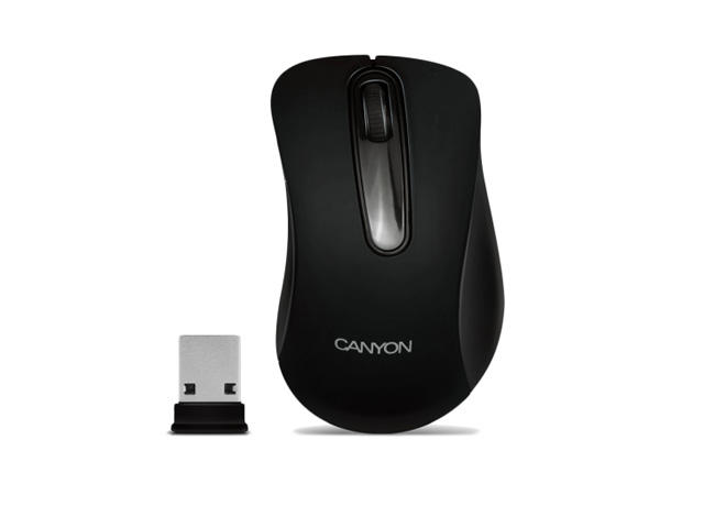 Мишки Canyon MW2 CNE-CMSW2
