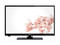 Телевизори Hitachi 24HYC05