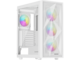 Бял