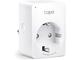 Smart Home TP-Link Tapo P110M