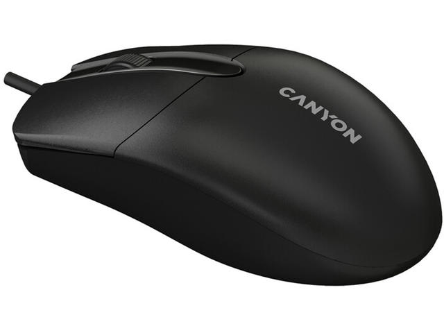 Мишки Canyon CNE-CMS5