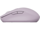 Мишки Canyon MW-12 Pink